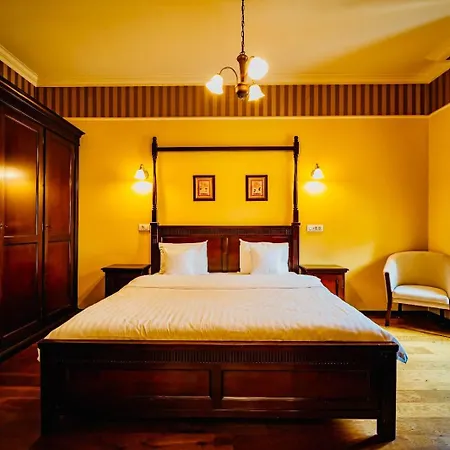 Joy Iosefin טימישוארה