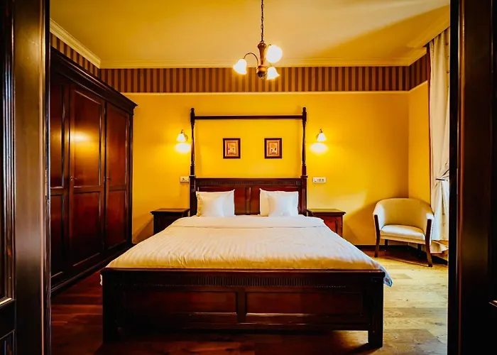 Joy Iosefin טימישוארה