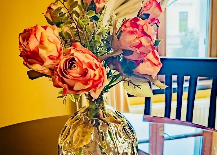 Joy Iosefin טימישוארה