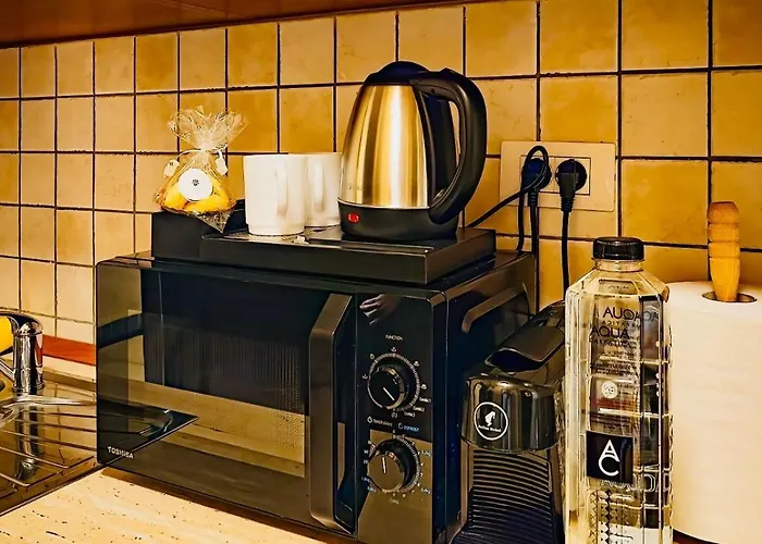 Joy Iosefin Lejlighed Timişoara