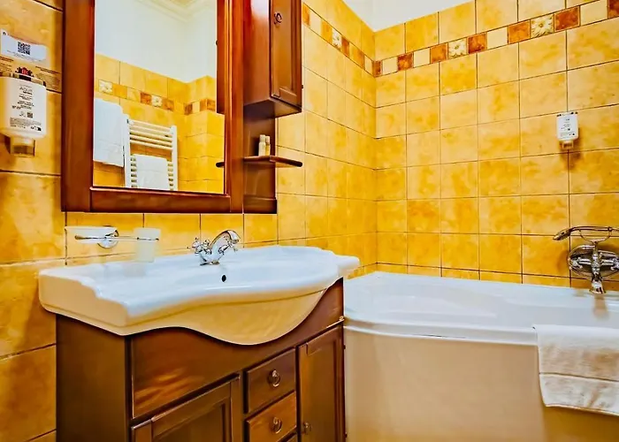 Joy Iosefin Timişoara